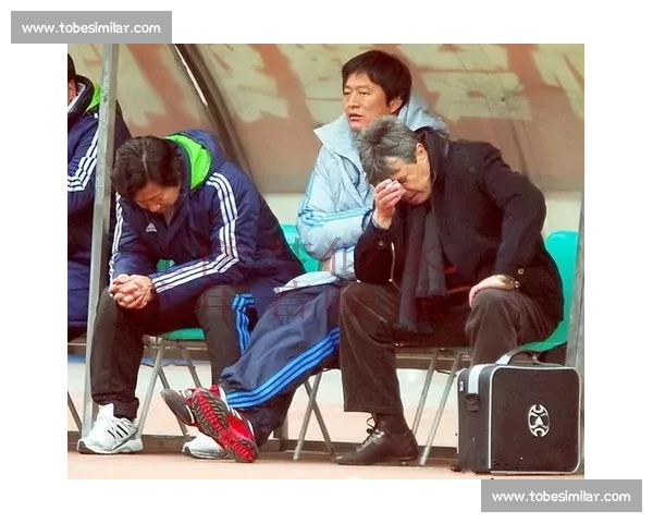 大连实德告别赛场最后一战回顾球队荣辱与辉煌的历史瞬间