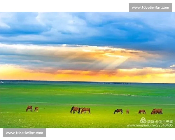 《回顾体育历史上的巅峰时刻，激动人心的瞬间让人铭记》